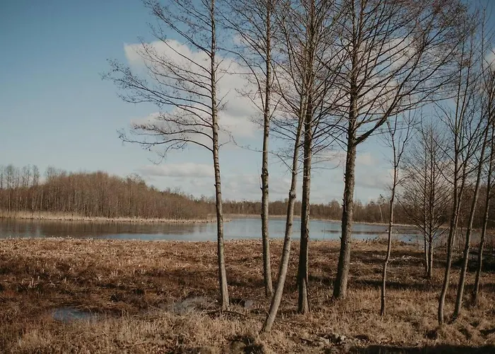 Dom wakacyjny Niebieski Nad Jeziorem Mazurskie Klimaty