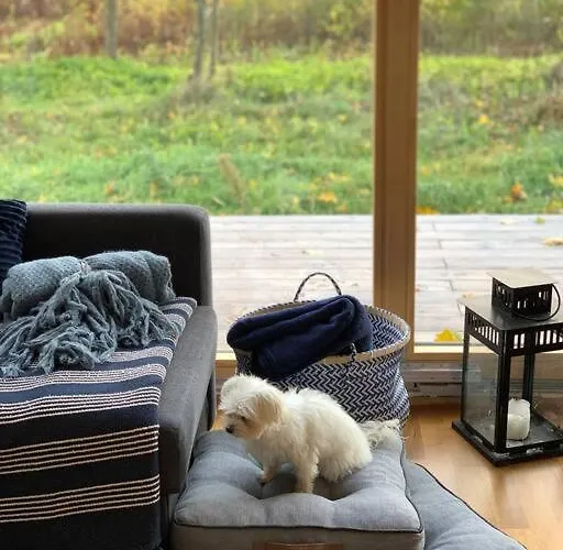 Niebieski Nad Jeziorem Mazurskie Klimaty