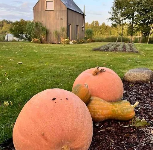 Dom wakacyjny Niebieski Nad Jeziorem Mazurskie Klimaty Pogobie Tylne