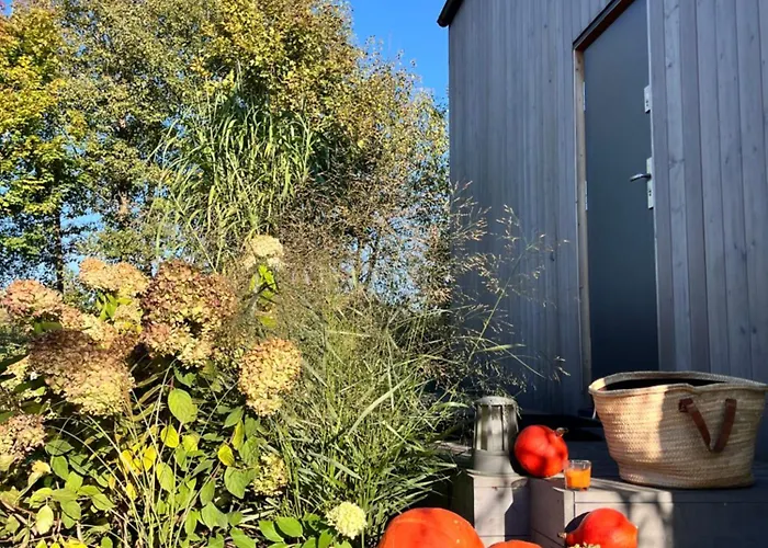 Niebieski Nad Jeziorem Mazurskie Klimaty *